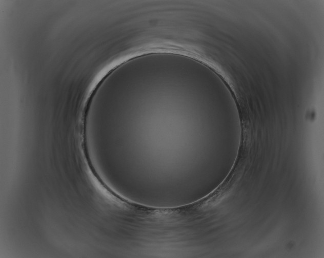 X0000091641531200708231147