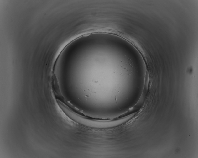 X0000091641532200708231147