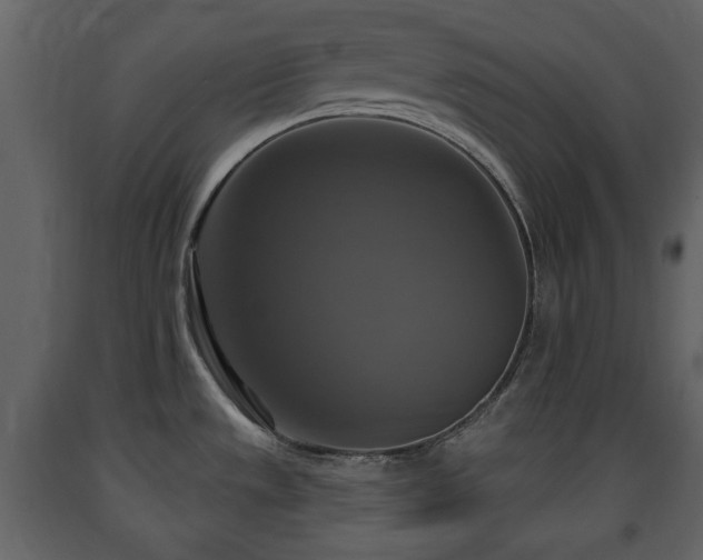 X0000091641533200708231147