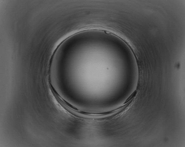 X0000091641534200708231147