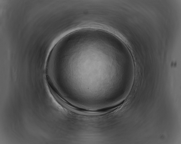 X0000091641536200708231147