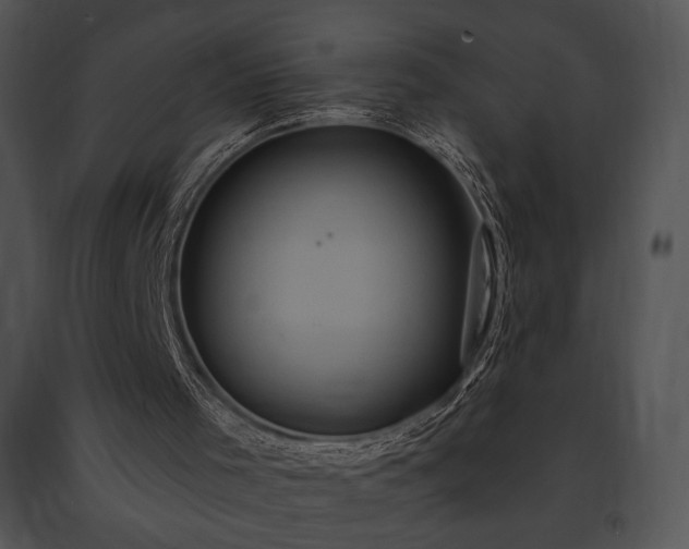 X0000091640001200708301408