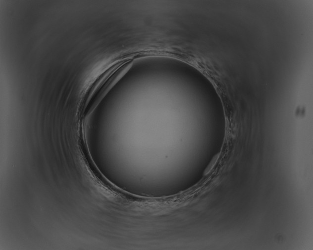 X0000091640005200708301408