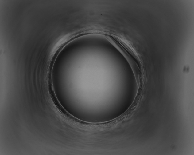 X0000091640007200708301408