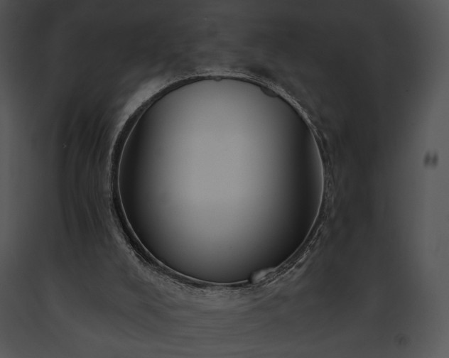X0000091640008200708301408