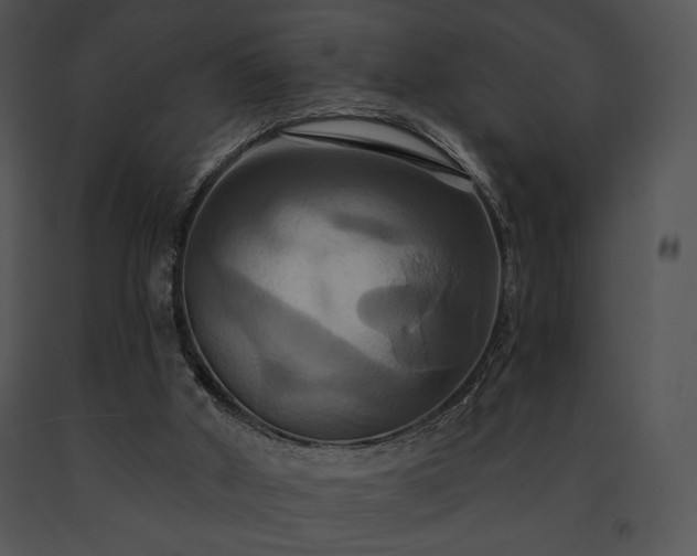 X0000091640010200708301408