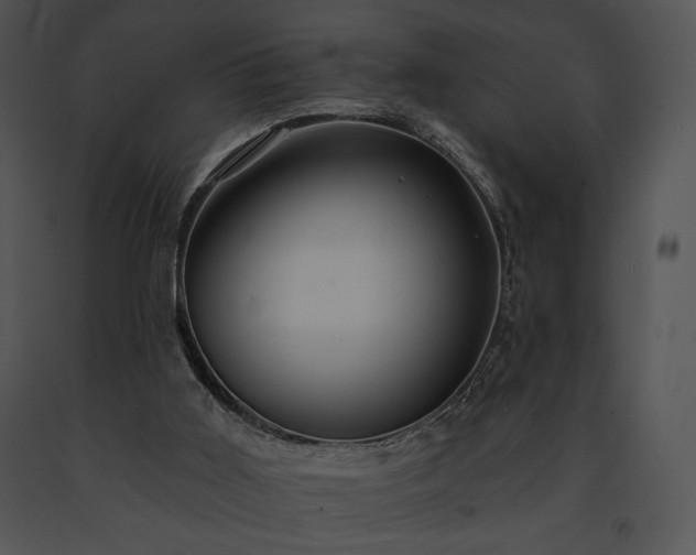 X0000091640011200708301408