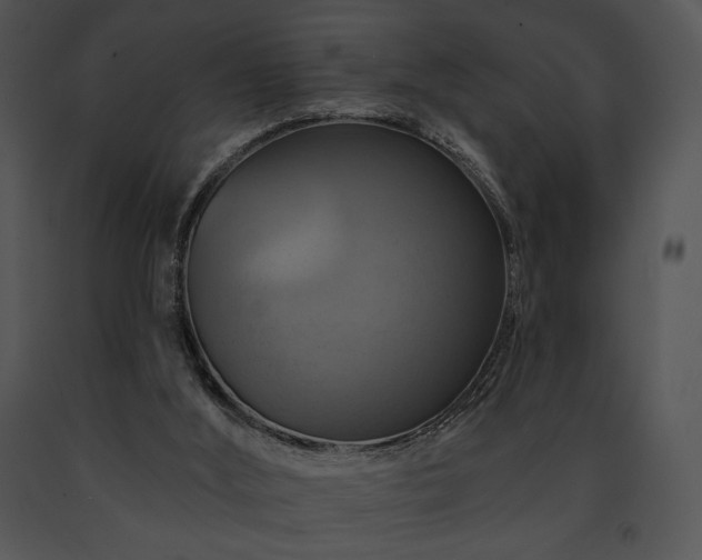 X0000091640012200708301408