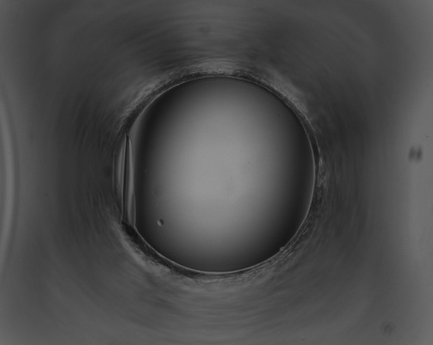 X0000091640013200708301408