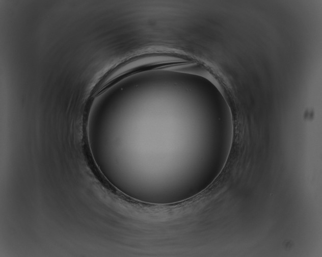 X0000091640015200708301408