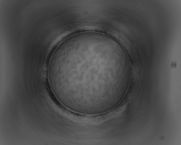 X0000091640016200708301408