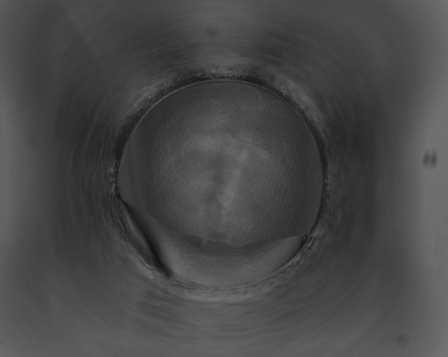 X0000091640017200708301408