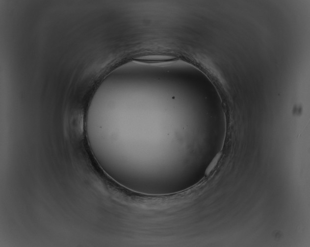 X0000091640021200708301408