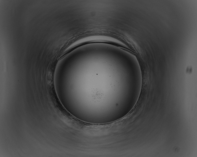 X0000091640025200708301408