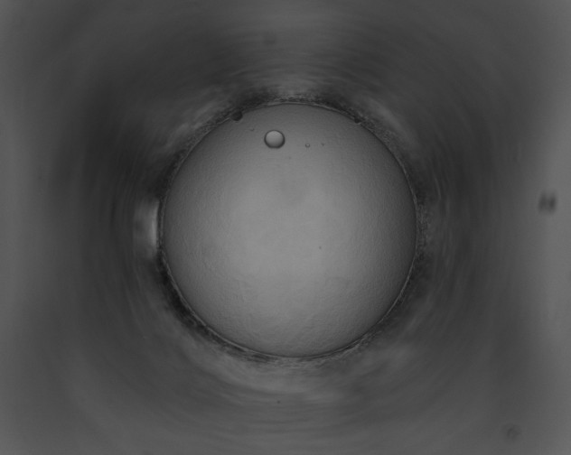 X0000091640028200708301408