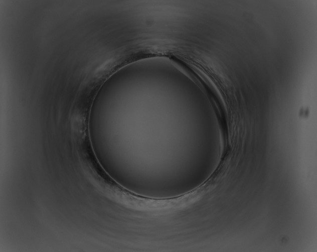 X0000091640031200708301408