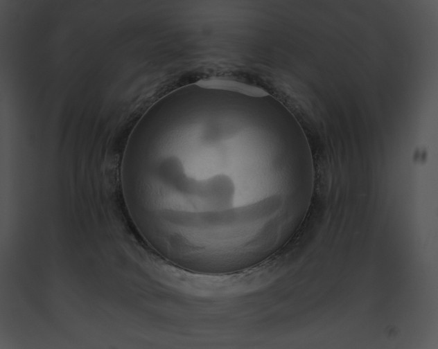 X0000091640034200708301408
