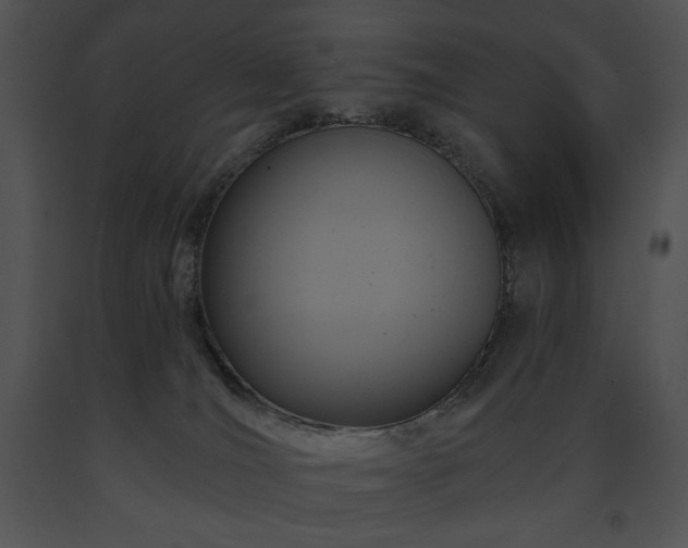 X0000091640036200708301408