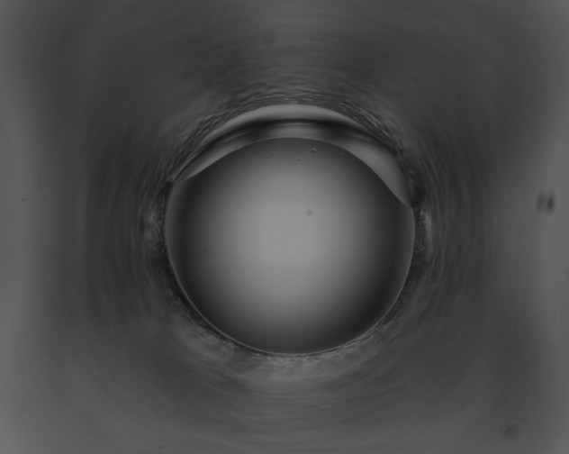 X0000091640037200708301408