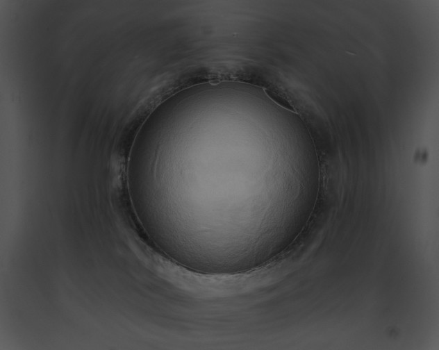 X0000091640038200708301408