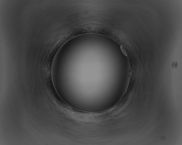 X0000091640040200708301408
