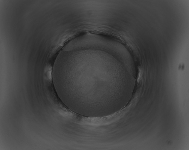 X0000091640041200708301408