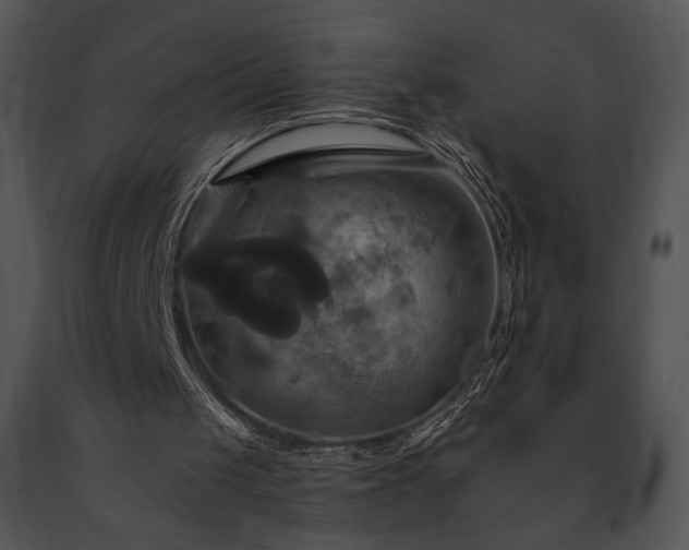 X0000091640049200708301407