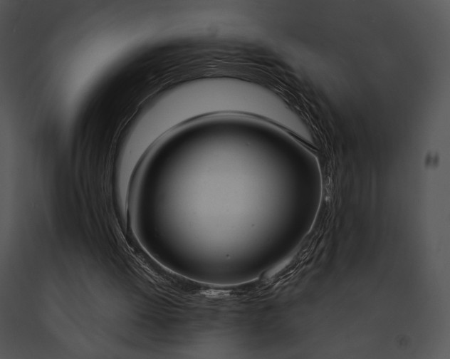 X0000091640052200708301407