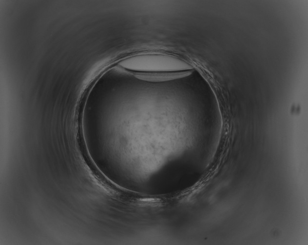 X0000091640053200708301407