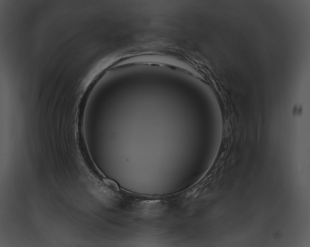X0000091640054200708301407