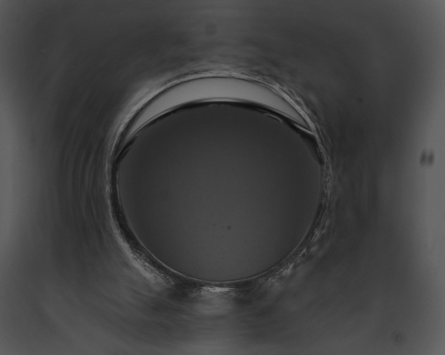 X0000091640055200708301407