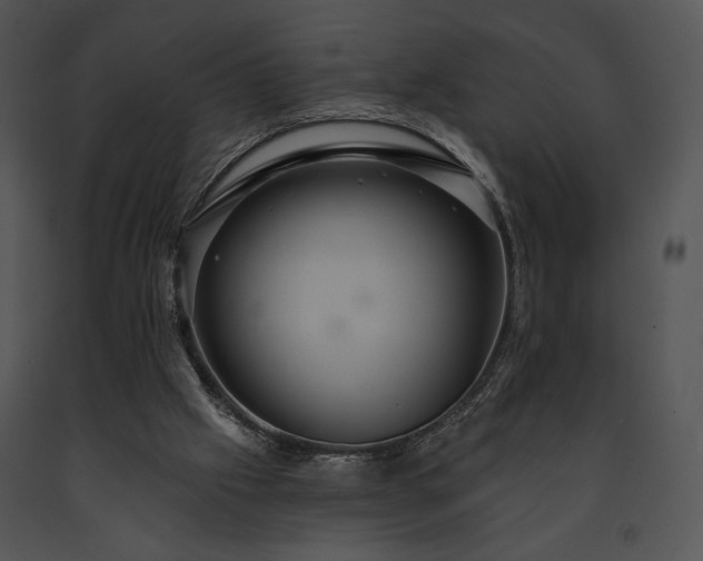 X0000091640057200708301407