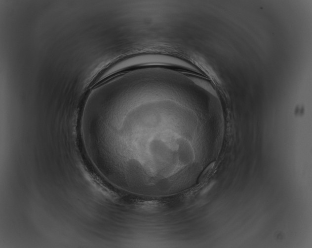 X0000091640058200708301407