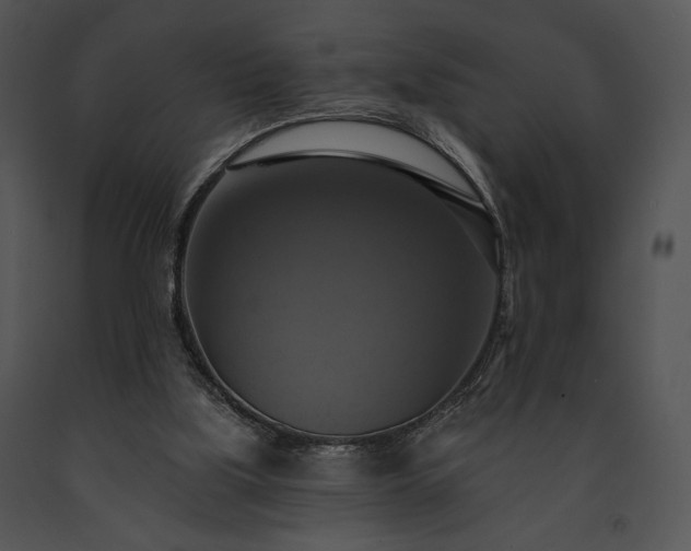 X0000091640059200708301407
