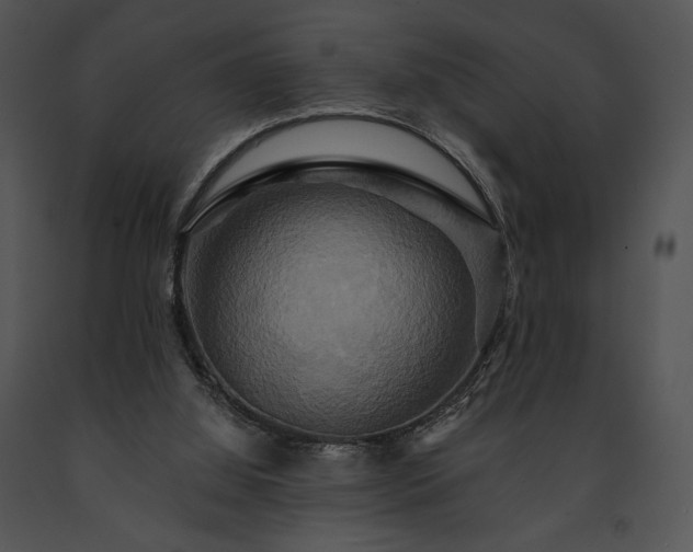 X0000091640060200708301407