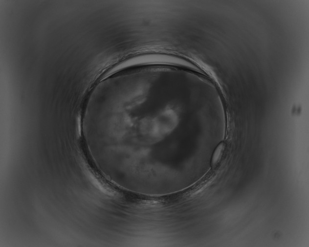 X0000091640061200708301407