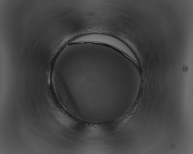 X0000091640062200708301407