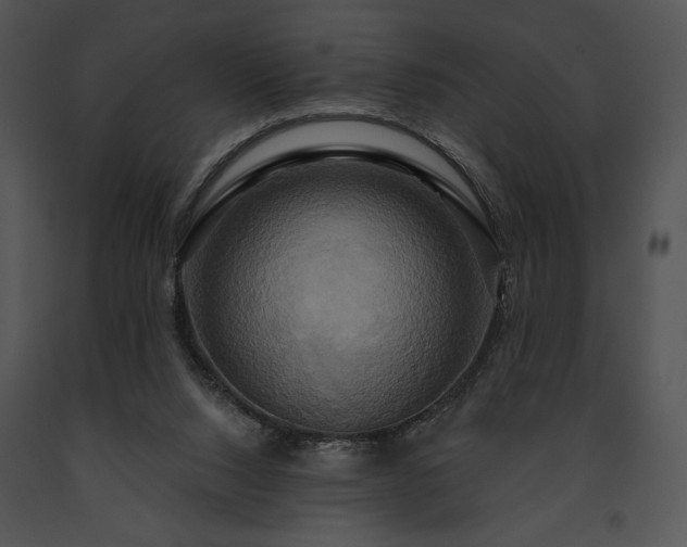 X0000091640064200708301407