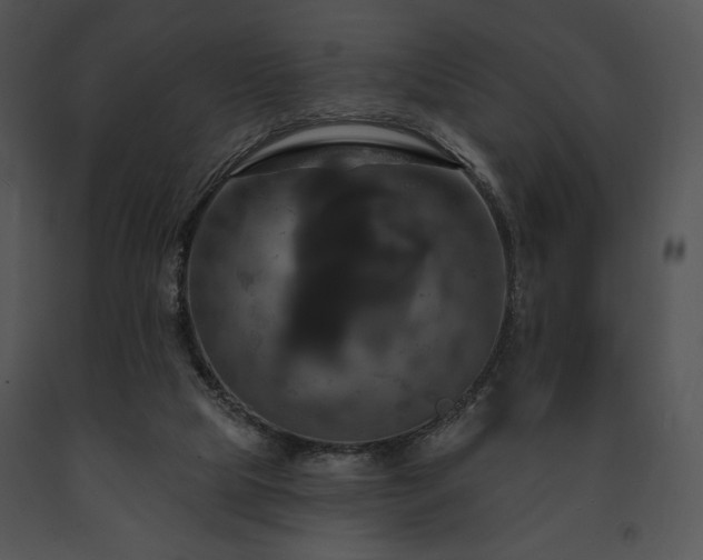 X0000091640065200708301407