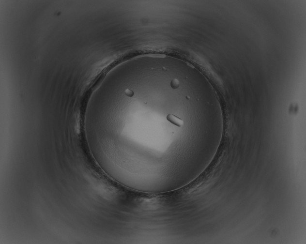 X0000091640068200708301407