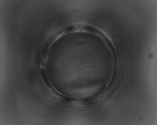 X0000091640069200708301407