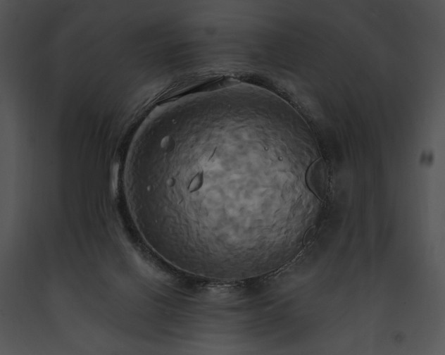 X0000091640070200708301407