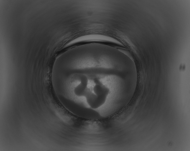 X0000091640073200708301407
