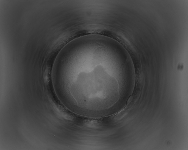 X0000091640074200708301407