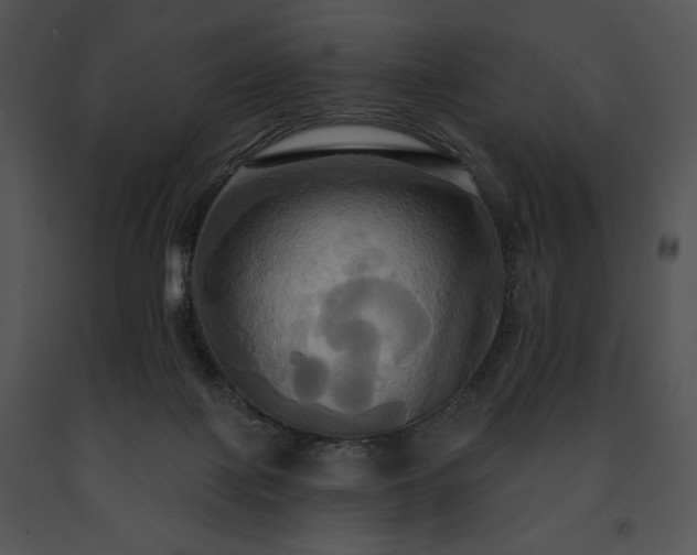 X0000091640075200708301407