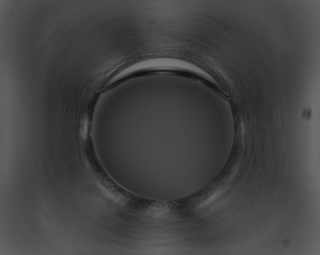 X0000091640076200708301407