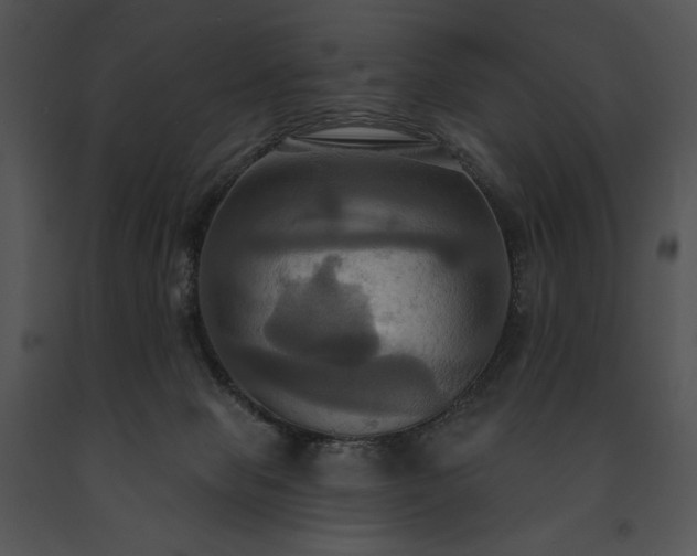 X0000091640077200708301407