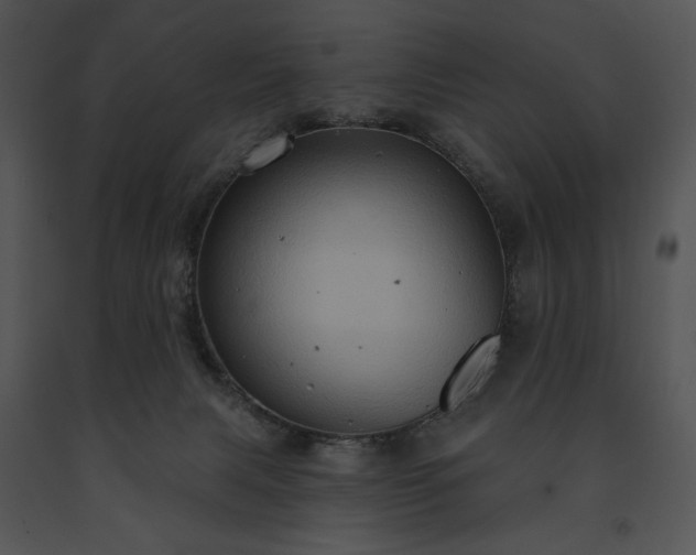 X0000091640079200708301407