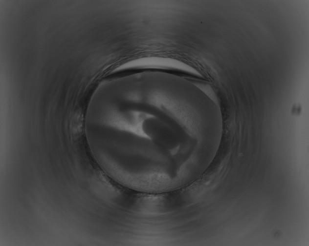 X0000091640081200708301407