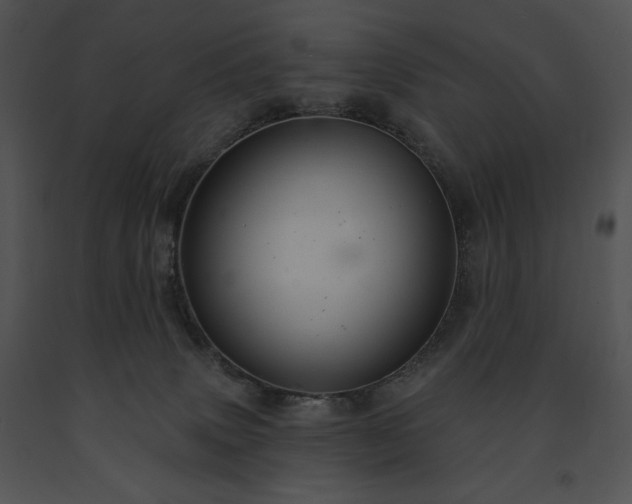 X0000091640083200708301407